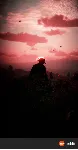 ✅ Red Dead Redemption 2: Ultimate Edition XBOX ONE ключ