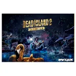 dead island 2 GOLD+Saints Row ps5 общий аккаунт