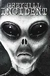 ✅ Greyhill Incident Xbox Series X|S активация