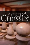 Pure Chess Grandmaster Edition (STEAM/RU) - irongamers.ru