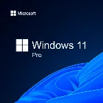 Windows 10 / 11 Professional 32/64 Bit