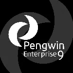 💎 Pengwin Enterprise 9 Windows ПК КЛЮЧ🔑 