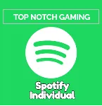 1/3/6/12 МЕСЯЦЕВ SPOTIFY PREMIUM РАБОТАЕТ В РФ - irongamers.ru