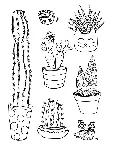 Plant Therapy Coloring Book DLC * STEAM RU ⚡ АВТО 💳 0%