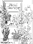 Plant Therapy Coloring Book DLC * STEAM RU ⚡ АВТО 💳 0%