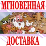 ✅ Noah's Ark ⭐Steam\РФ+Весь Мир\Key⭐ + Бонус