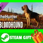 ⭐ ВСЕ СТРАНЫ⭐ theHunter: Call of the Wild - Bloodhound - irongamers.ru