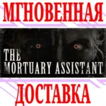 The Mortuary Assistant ⭐Steam\РФ+Весь Мир\Key⭐ + Бонус - irongamers.ru