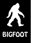 BIGFOOT - irongamers.ru