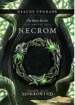 🌌 The Elder Scrolls Online:  Necrom подарок-Steam🌌 