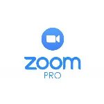 Zoom one pro  100P meeting 1 месяц(1GB) subscribe