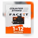 ⭐ FACEIT CS2 Premium подписка 1-3 месяцев + ESEA ✅ 