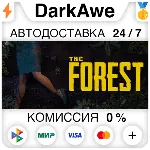 The Forest +ВЫБОР РЕГИОНА STEAM АВТОДОСТАВКА 0% - irongamers.ru
