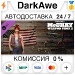 PAYDAY 2: McShay Weapon Pack 2 DLC STEAM•RU ⚡ ️АВТО 💳 0%