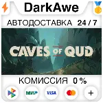 Caves of Qud STEAM•RU ⚡ ️АВТОДОСТАВКА 💳 0%