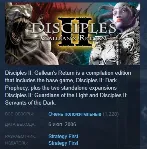 Disciples II: Gallean's Return STEAM KEY РФ+СНГ СТИМ
