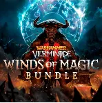 ✅ Warhammer: Vermintide 2 PS Турция На ВАШ аккаунт!🔥 
