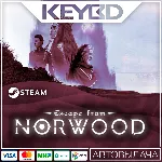 Escape from Norwood · Steam Gift АВТО 0% Карты - irongamers.ru