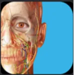 Human Anatomy Atlas 2025 Complete 3D⭐Microsoft Store