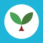 Членство Seedlang pro, немецкая подписка на 3 месяц