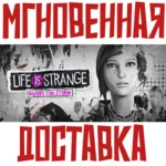Life is Strange: Before the Storm Steam\РФ+Мир\Key + - irongamers.ru