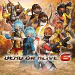 DOA6 Morphing Ninja Costume Set - irongamers.ru