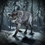 Call of Duty Ghosts Wolf Skin - irongamers.ru