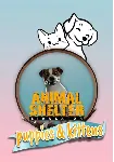 DLC Animal Shelter - Puppies & Kittens DLC КЛЮЧ STEAM - irongamers.ru