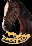My Horse: Bonded Spirits КЛЮЧ STEAM ВСЕ СТРАНЫ - irongamers.ru