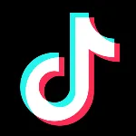 TikTok Followers