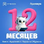 MYBOOK ПРЕМИУМ НА 12 МЕСЯЦЕВ ПРОМОКОД + АУДИО - irongamers.ru