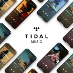 🎧 TIDAL HiFi PLUS FAMILY – 1 месяц 💎 🔒 | 6 участников • Ultra HD звук 🚀 💯 
