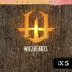 КЛЮЧ WILD HEARTS Karakuri XBOX Код