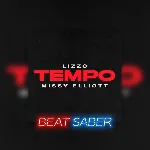 Beat Saber: Lizzo - &acute;Tempo (feat. Missy Elliot)&acute; PS4 PS - irongamers.ru