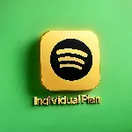 Spotify Premium Individual 1/3/6/12 МЕСЯЦА - irongamers.ru