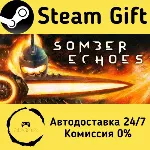 Somber Echoes Steam Gift Россия мгновенно - irongamers.ru