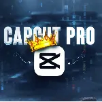CapCut PRO/STANDARD 1 ГОД ПОДПИСКИ НА ВАШ АККАУНТ