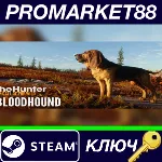 ⭐ theHunter: Call of the Wild - Bloodhound DLC EU Steam - irongamers.ru