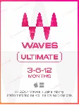 🐲 WAVES AUDIO ESSENTIAL/ULTIMATE 1-3-6-12 МЕСЯЦЕВ