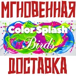 Color Splash: Birds Steam\РФ+Весь Мир\Key⭐ - irongamers.ru