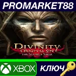 ⭐ Divinity: Original Sin - The Source Saga AR XBOX One - irongamers.ru