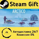 Arctico Steam Gift РФ/КЗ/др. Автодоставка - irongamers.ru