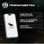 ПОДАРОЧНАЯ КАРТА ABERCROMBIE & FITCH  $25-100 / США