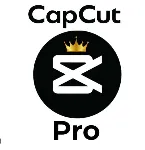 CAPCUT PRO 1 ГОД (Обновите с помощью вашей электронной почты) - irongamers.ru