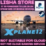 X-Plane 12 Стим Оффлайн на 90 дней - irongamers.ru
