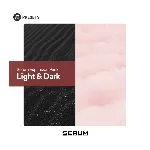 📚 Serum 2 Expansion Bundle: Light & Dark [Пресеты]