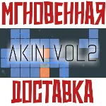 Akin Vol 2 Steam\РФ+ВесьМир\Key⭐ - irongamers.ru