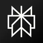 Perplexity AI - Pro/Max - 1 месяц