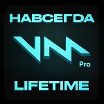 Voicemod PRO Войсмод ПРО Лицензия Навсегда - irongamers.ru
