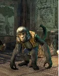 The Elder Scrolls Online 🌌 КЛЮЧ🌌 Обезьяна питомец